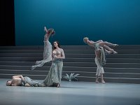 shen wei dance